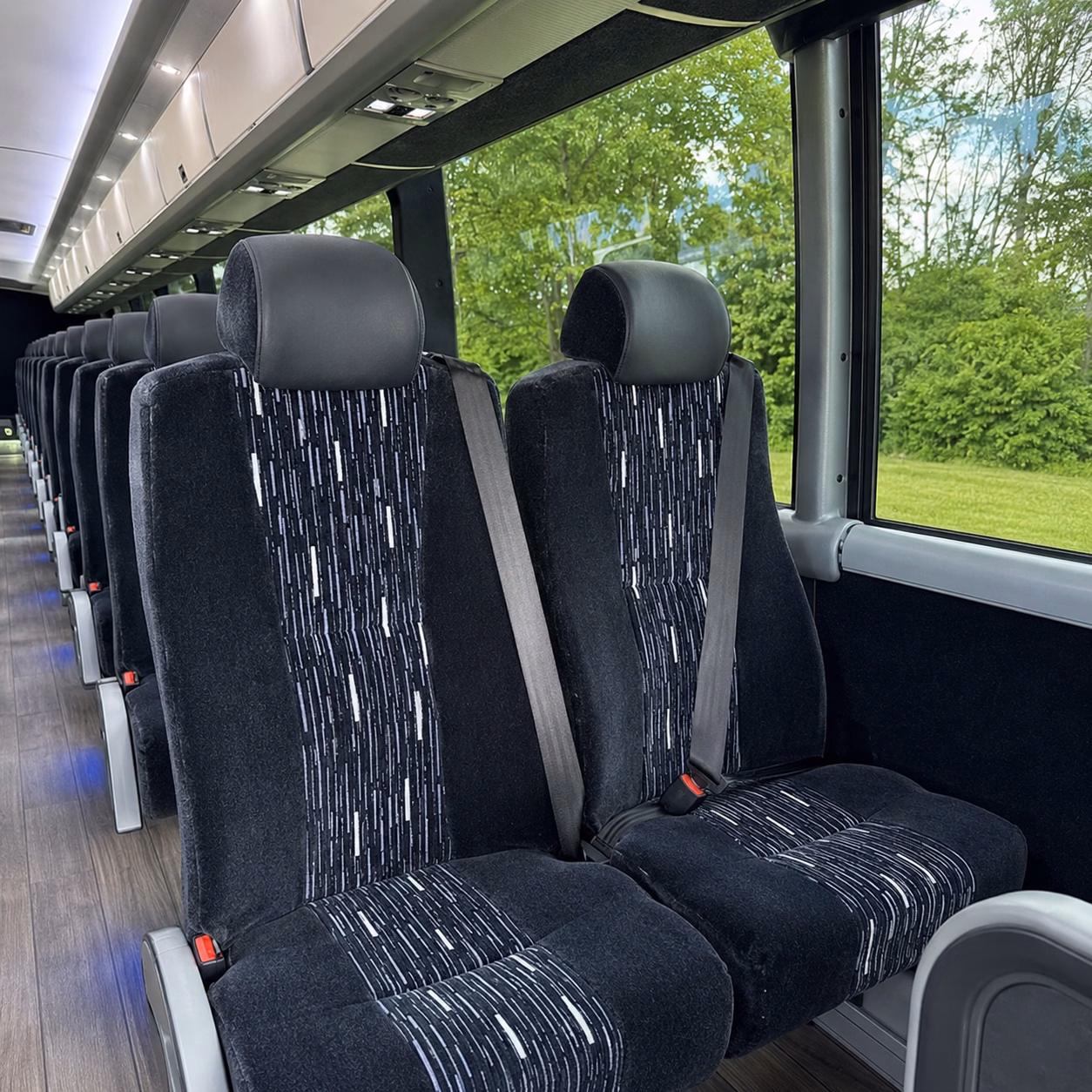 compare santa maria bus rentals from a network of companies in minutes